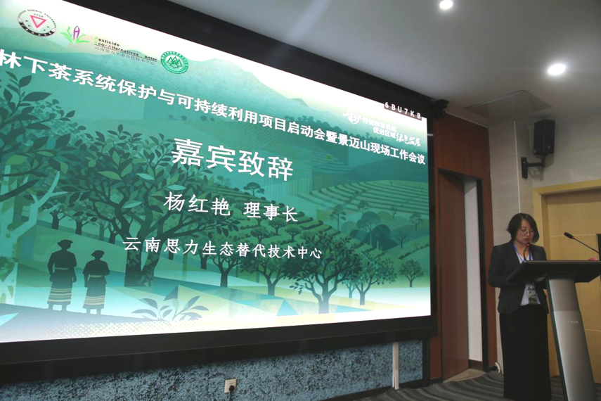 人与自然同行基金会支持"东南亚传统林下茶系统保护与可持续利用项目"正式启动